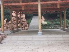 -山湖温泉