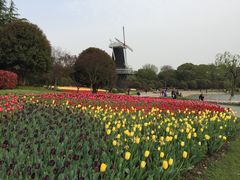 -上海鲜花港