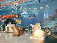 -蓬莱欧乐堡海洋极地世界