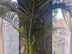 -陈熹公民族美食文化餐厅(中华广场店)