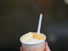 -Dip in Gelato(富民路店)