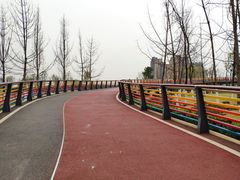 -府河摄影公园