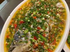 飞虹鱼-飞虹鱼馆(春华路店)