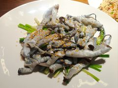 白灼泥虫-张家卫·阳江菜·小海鲜(肥婆湾桥店)