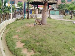 -灵玲国际马戏城