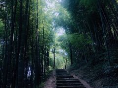 -隐居西湖隐天竺