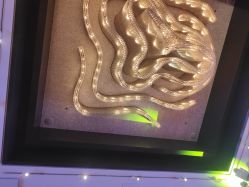 -上海金桥红枫万豪酒店·宴会厅