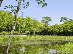 -长广溪湿地公园