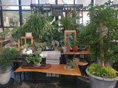 -北马山庄植趣咖啡