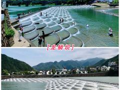 -杭州野生动物世界