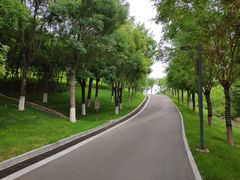 -河北省园博园