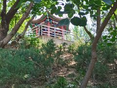 -黄村公园