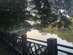 -小洲村