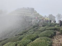 -石潭村