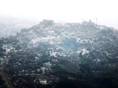 -铁山坪森林公园