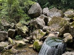 -青城山