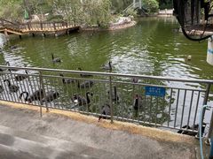 -深圳野生动物园