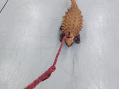 -参差咖啡(水果湖公园店)