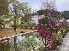 -南紀白浜 浜千鳥の湯 海舟