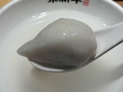 -朱新年·苏式汤团·面点(北寺塔店)