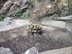 -东南悬空寺方广岩