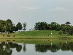 -洋湖国家湿地公园