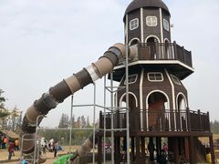 -上海长兴岛郊野公园