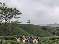 -帐篷客·溪龙茶谷度假酒店