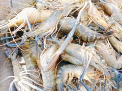 -大鹏饭店·金陵家宴(奥体中心店)