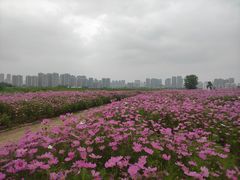 -汉江湾体育公园