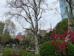 -静安公园(静安寺街道)