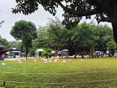 -广州长隆飞鸟乐园