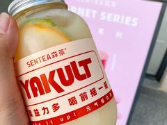 百香果益力多-SENTEA森茶(麦地丽日店)