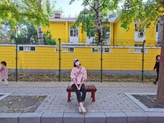 -三里屯东五街银杏大道