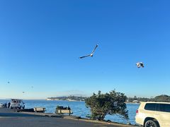 -Takapuna Beach Cafe