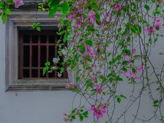 -深圳国际园林花卉博览园