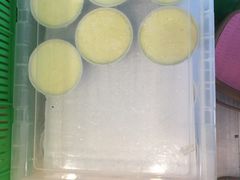 -德禄酸奶(莫家街店)