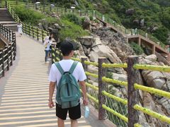 -广东惠东海龟国家级自然保护区