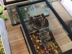 -天虹购物中心(石路店)