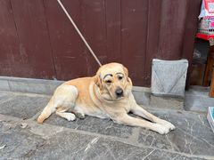 -高淳老街