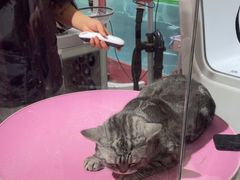 -FAELING PETS美天灵宠物(合生汇店)