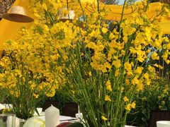 -中国天府农业博览园