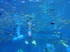 -西安华夏文旅水世界