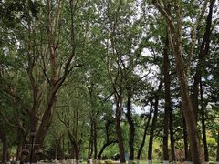 -棒棰岛宾馆景区