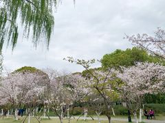 -范蠡湖公园
