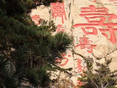 -崂山仰口游览区