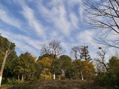 -尚贤河湿地