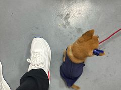 -阿香米线(乐客城店)