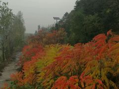 -老李客栈民宿餐厅