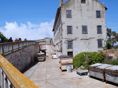 -阿尔卡特拉斯岛